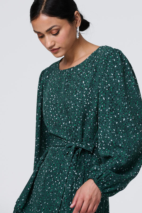 Green | Animal Print Tie Waist Long Sleeve Top