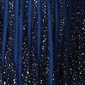 Navy | Sequin Sleeveless Tie Waist Dress