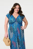 Blue | Peacock Print V-Neck Maxi Dress