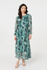Green | Animal Print Semi Sheer Maxi Dress