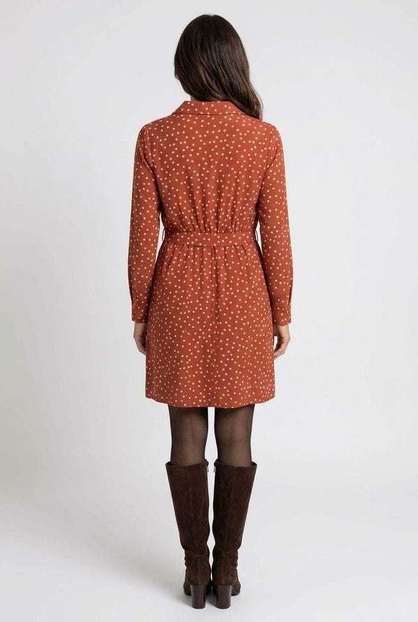 Rust | Polka Dot Print Tie Waist Shirt Dress