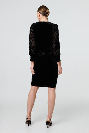 Black | Velvet Long Sleeve Shift Dress