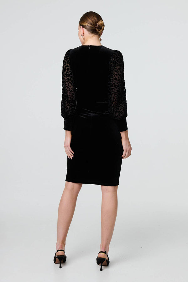 Black | Velvet Long Sleeve Shift Dress