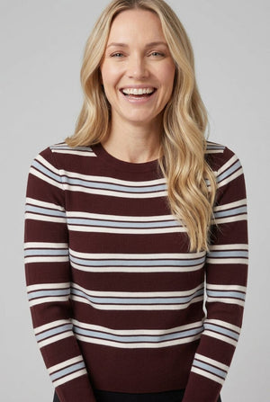 Brown | Striped Slim Fit Round Neck Jumper