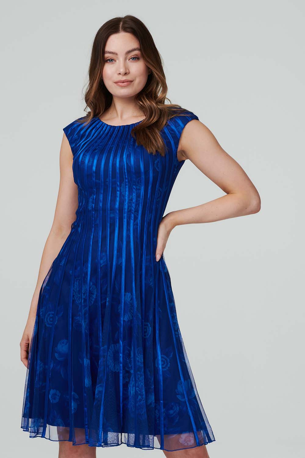 Blue | Floral Striped Fit & Flare Midi Dress