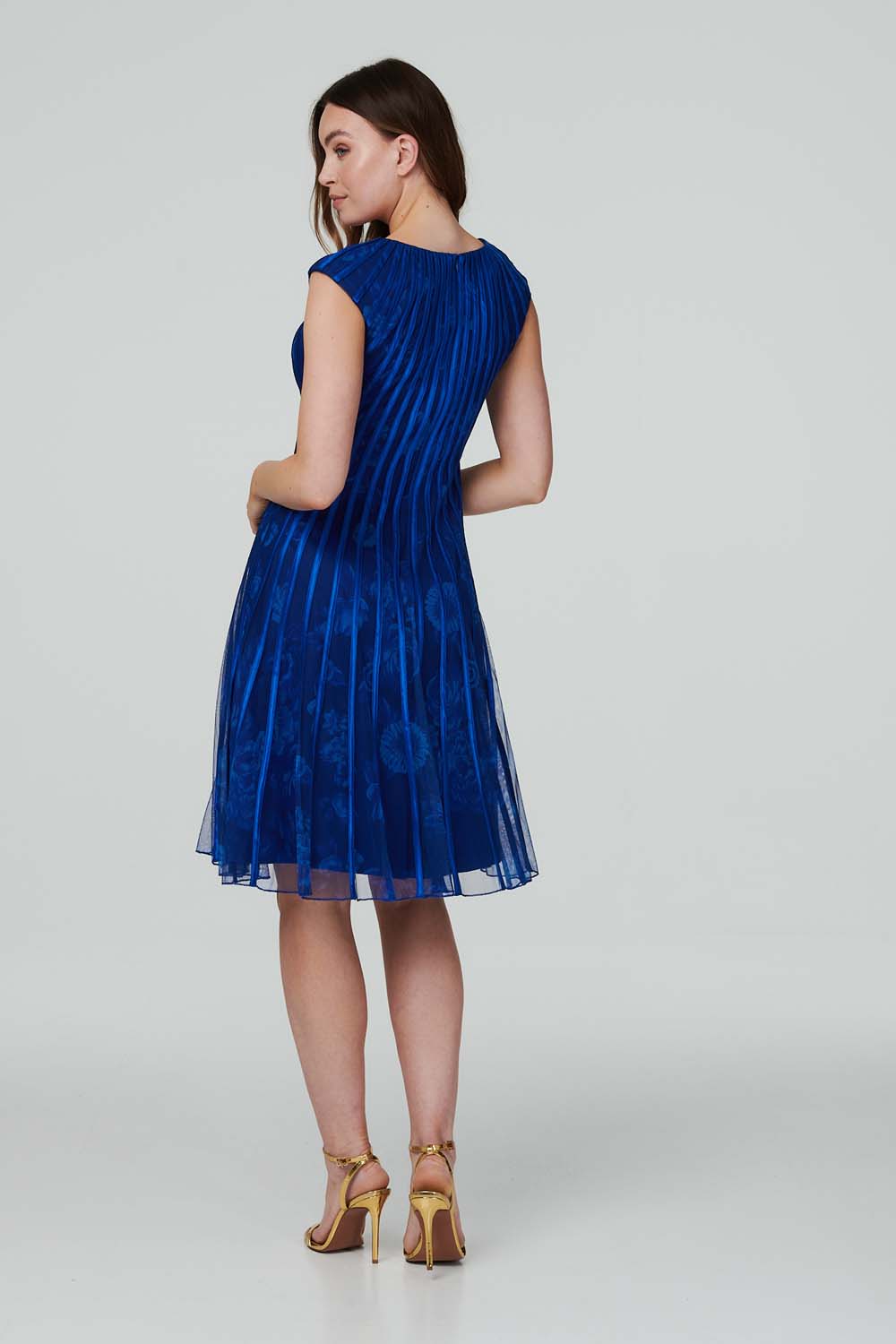 Blue | Floral Striped Fit & Flare Midi Dress