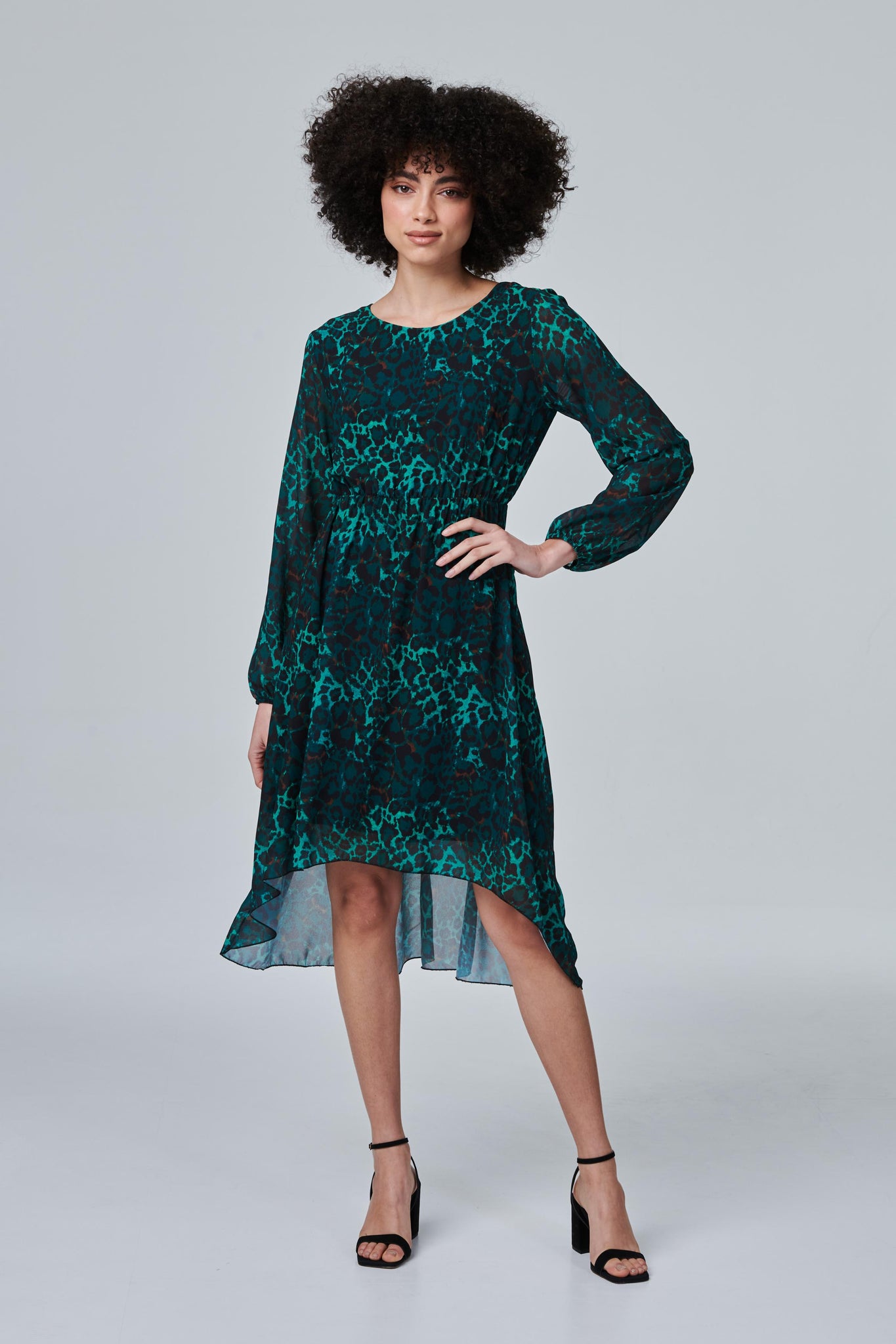 Green | Leopard Print Sheer Sleeve Dress