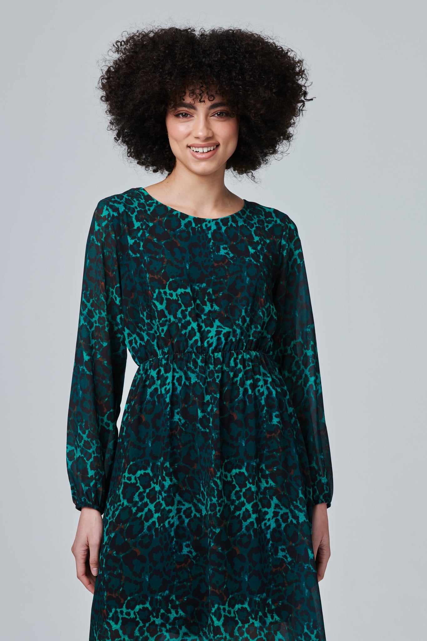 Green | Leopard Print Sheer Sleeve Dress